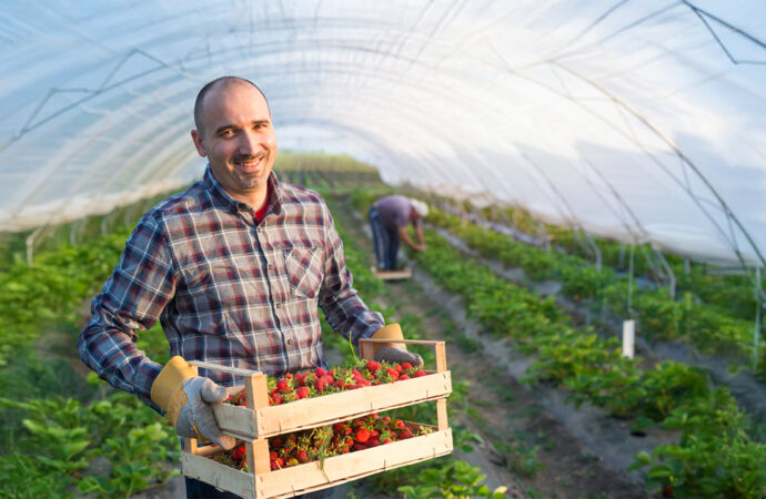 Türkiye’ye 400 bin dolar hibe