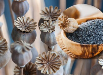 Mavi renkli haşhaş tohumu satışları devam ediyor