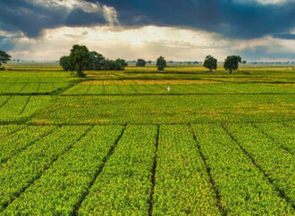 1 milyar 46 milyon TL’lik ödeme bugün hesaplarda