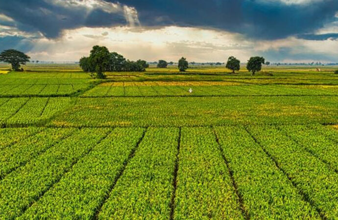 1 milyar 46 milyon TL’lik ödeme bugün hesaplarda