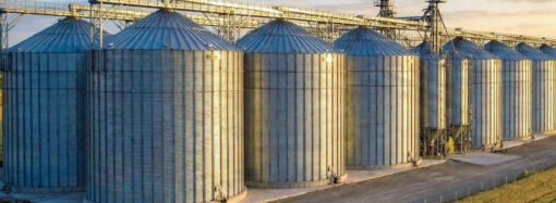 TMO’dan Şubat ayında 3,9 milyon ton hububat satışı kararı