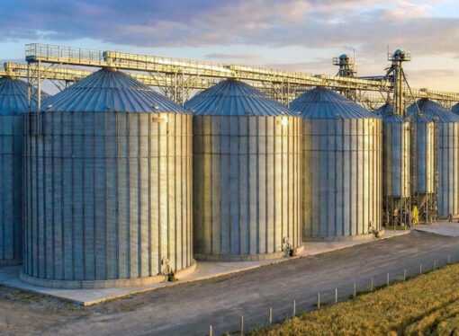 TMO’dan Şubat ayında 3,9 milyon ton hububat satışı kararı