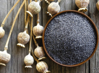 TMO’dan mavi haşhaş tohumu satışı!