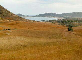 İşlenmeyen tarım arazileri için yüzde 75’e varan hibe desteği başlıyor
