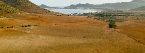İşlenmeyen tarım arazileri için yüzde 75’e varan hibe desteği başlıyor