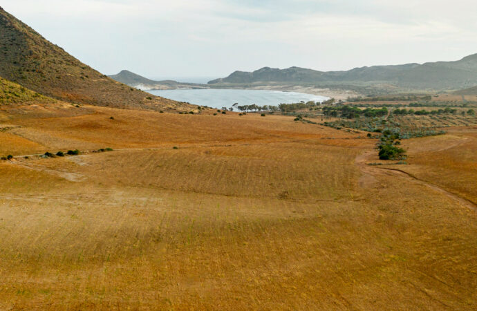 İşlenmeyen tarım arazileri için yüzde 75’e varan hibe desteği başlıyor